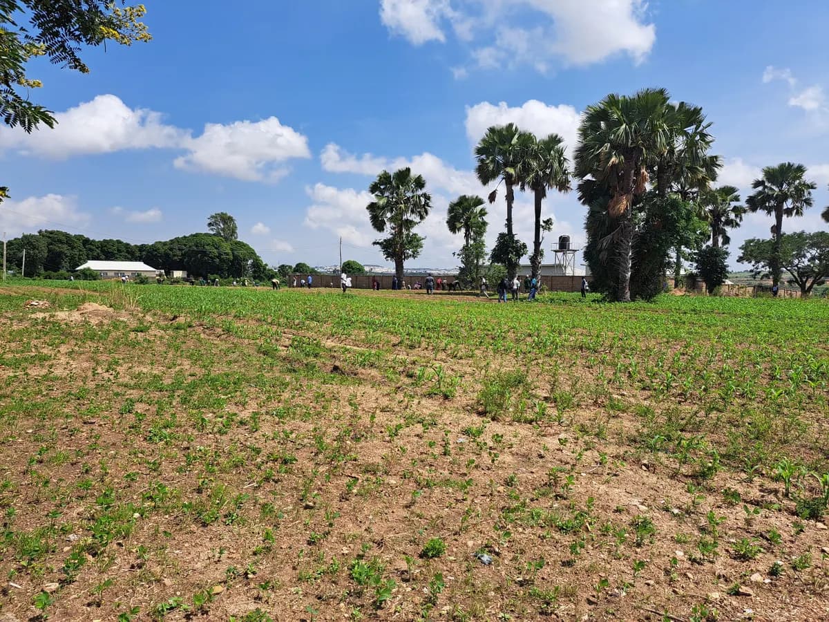 Research and demonstration farmland at TCoEFS