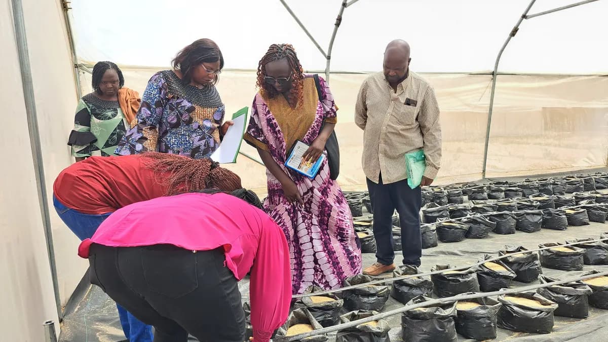 Greenhouse production at TCoEFS