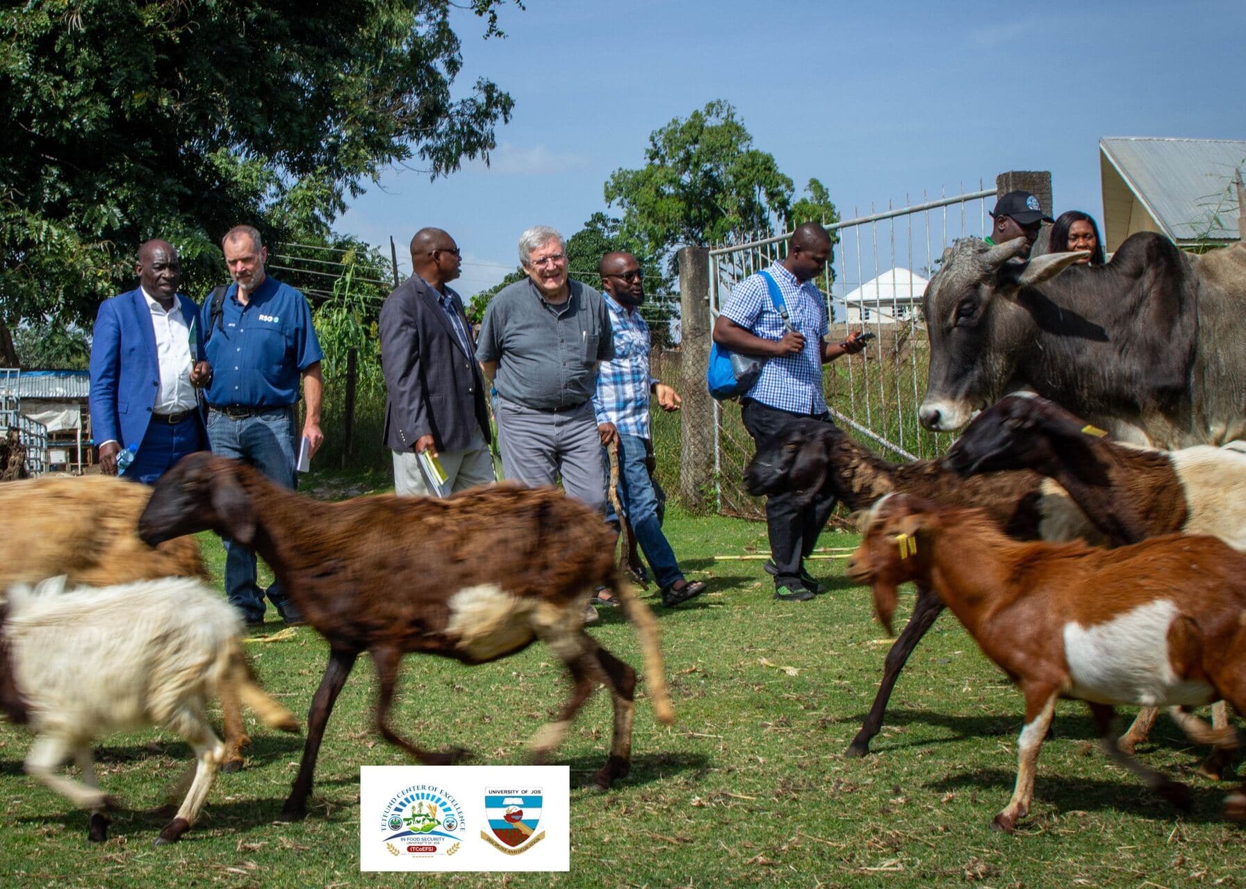 Strategic partnerships for resilient food systems